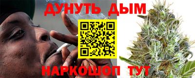 сатива Будённовск