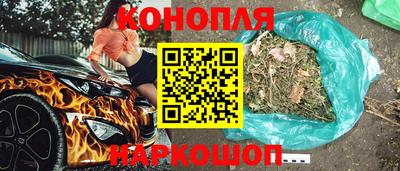 сатива Будённовск
