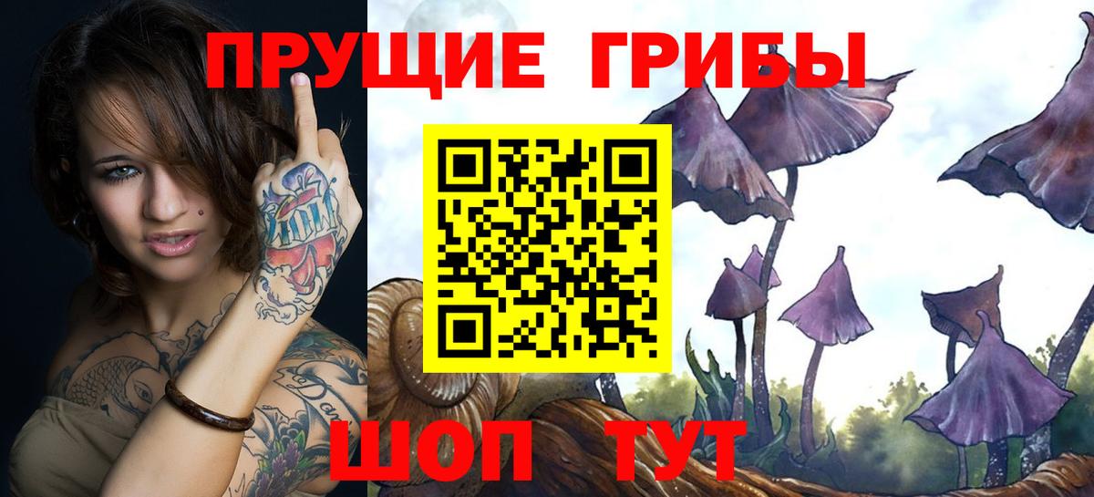 Галлюциногенные грибы мухоморы Нижнеудинск